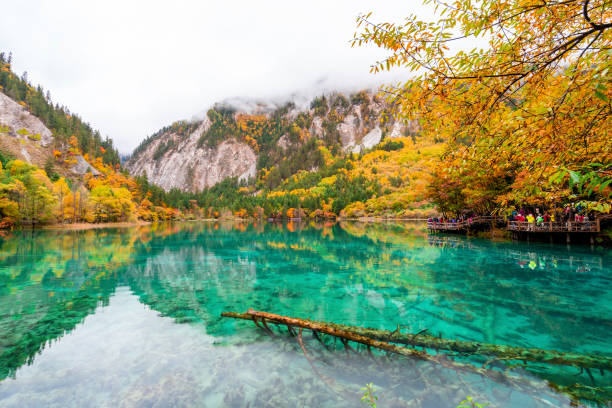 A scenic view of Xiu Water Scenic Area