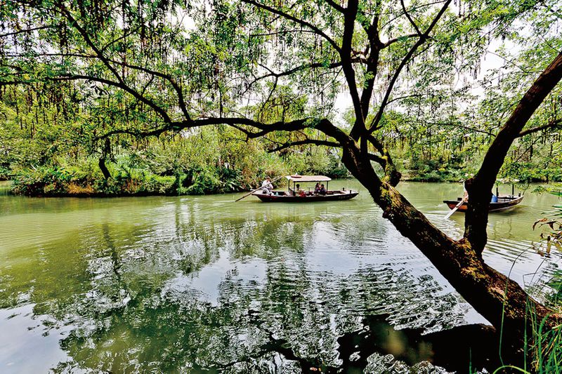 A scenic view of xixi national wetland park