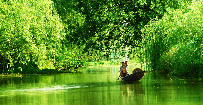 A scenic view of xixi national wetland park