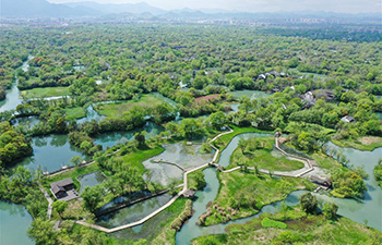 A scenic view of xixi national wetland park