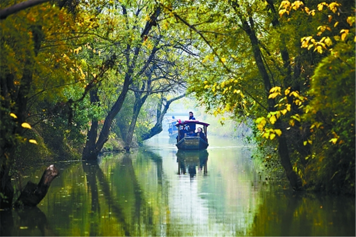 A scenic view of xixi national wetland park