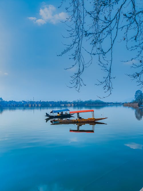 A scenic view of xuanwu lake