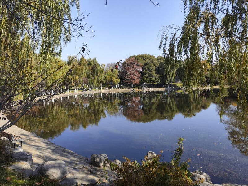 A scenic view of xuanwu lake