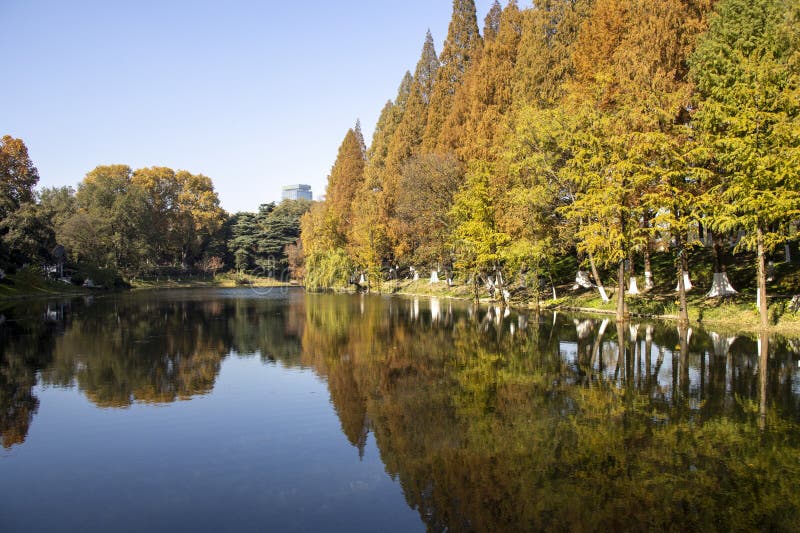A scenic view of xuanwu lake