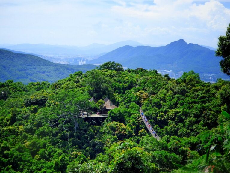 The Ultimate Guide to Yalong Bay Tropical Paradise Forest Park Adventures