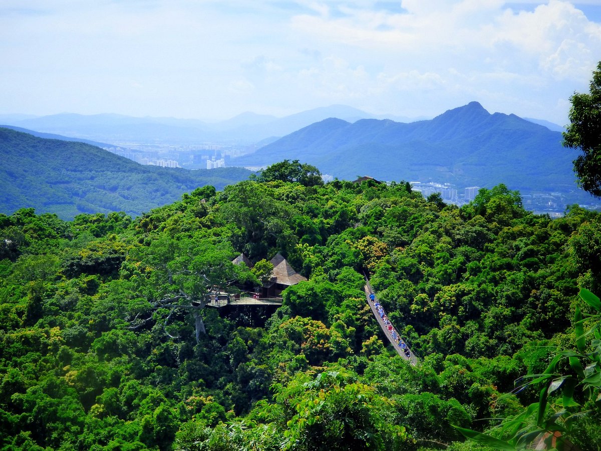 A scenic view of yalong_bay_tropical_paradise_forest_park