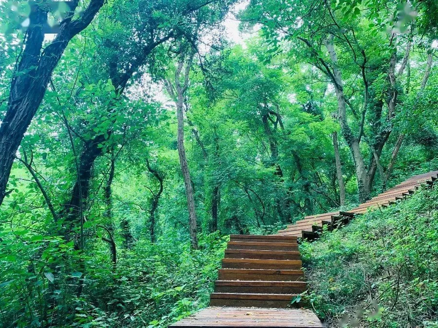 A scenic view of yanan_laoshan_national_forest_park_scenic_area