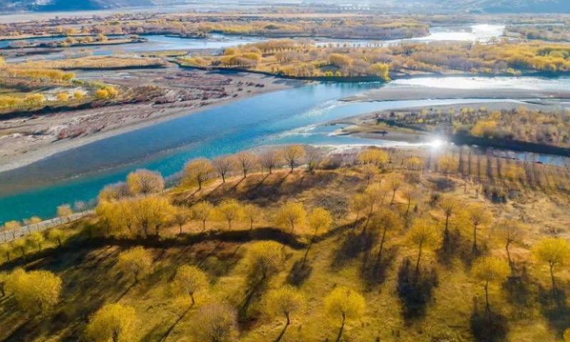 A scenic view of yancheng wildlife park