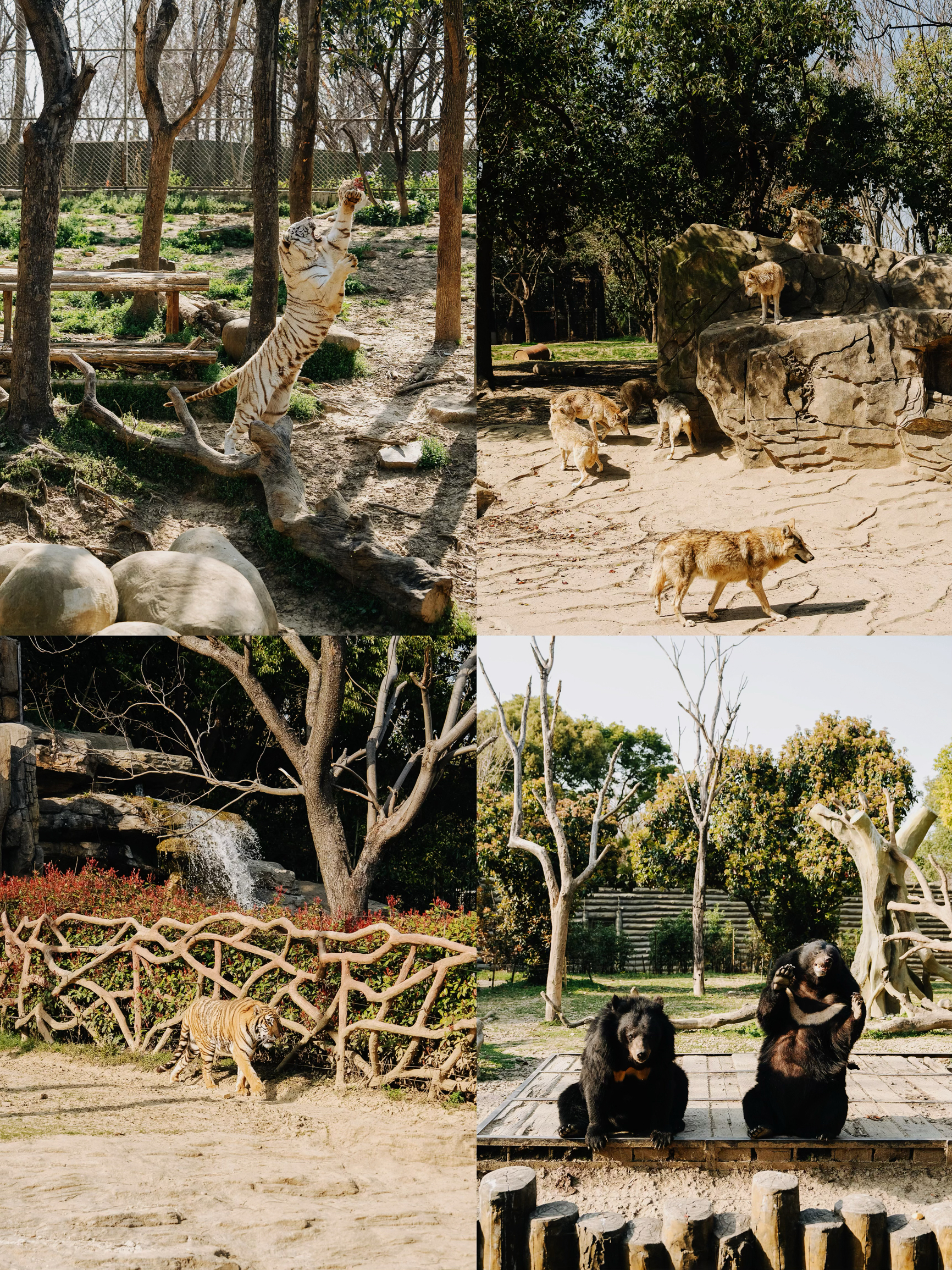 A scenic view of yancheng wildlife park