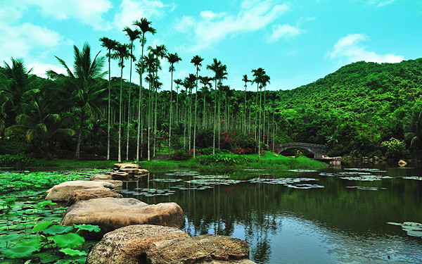 A scenic view of yanoda_rainforest_cultural_tourism_zone