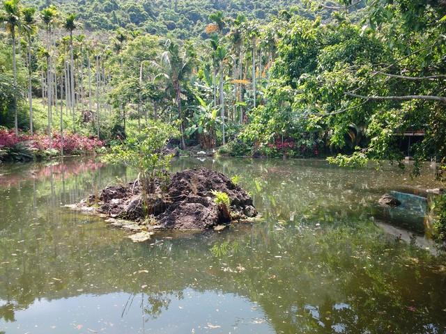 A scenic view of yanoda_rainforest_cultural_tourism_zone