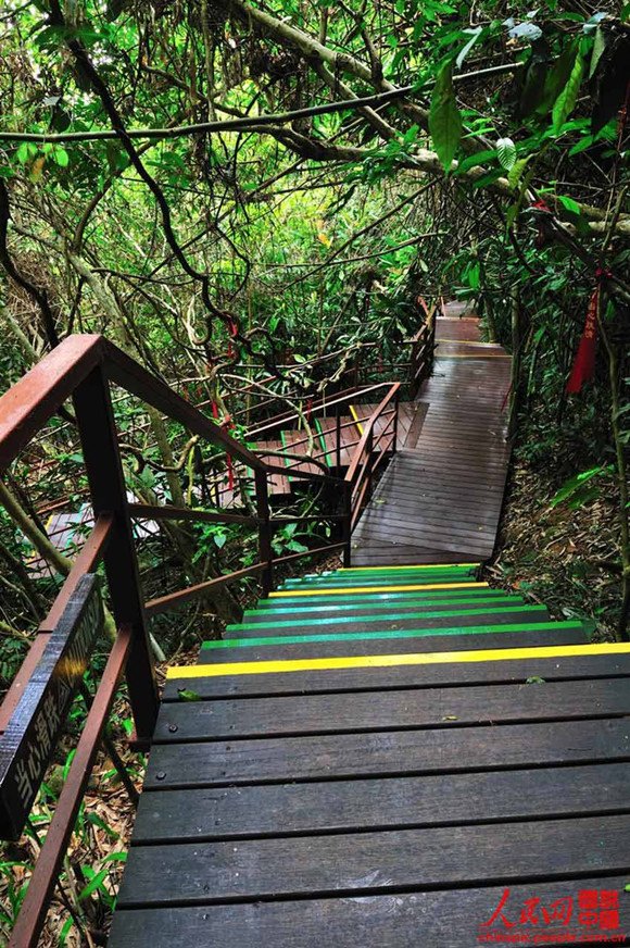 A scenic view of yanoda_rainforest_cultural_tourism_zone
