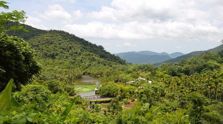 Yanoda Rainforest: Your Guide to Hainan’s Hidden Gem