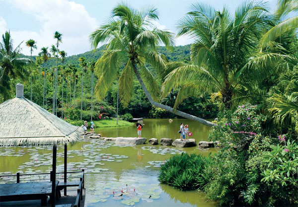 A scenic view of yanoda rainforest cultural tourism zone