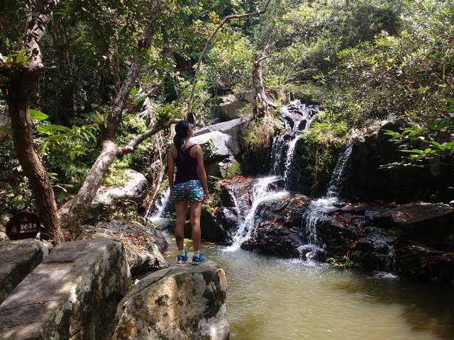 A scenic view of yanoda rainforest cultural tourism zone