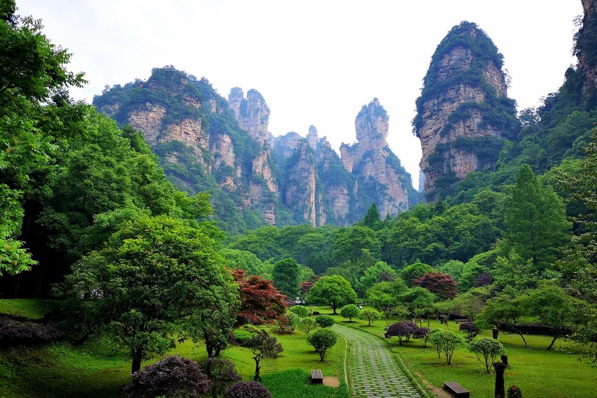 A scenic view of yichun_tangwanghe_forest_park