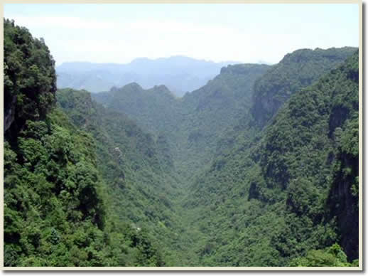 A scenic view of yingde national forest park