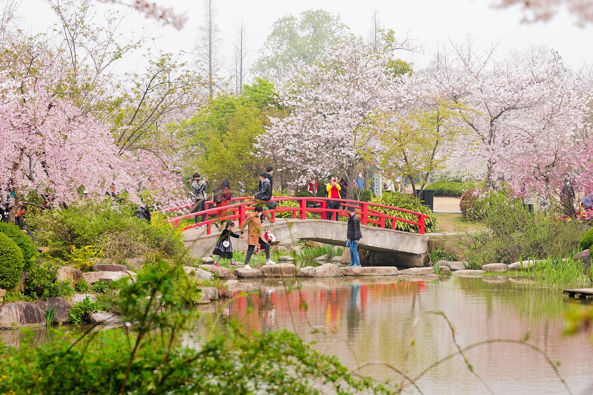 A scenic view of yinghuahu_scenic_area