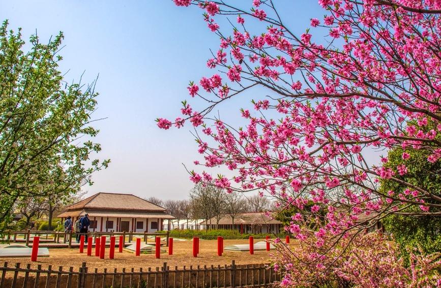 A scenic view of Yinxu Ruins