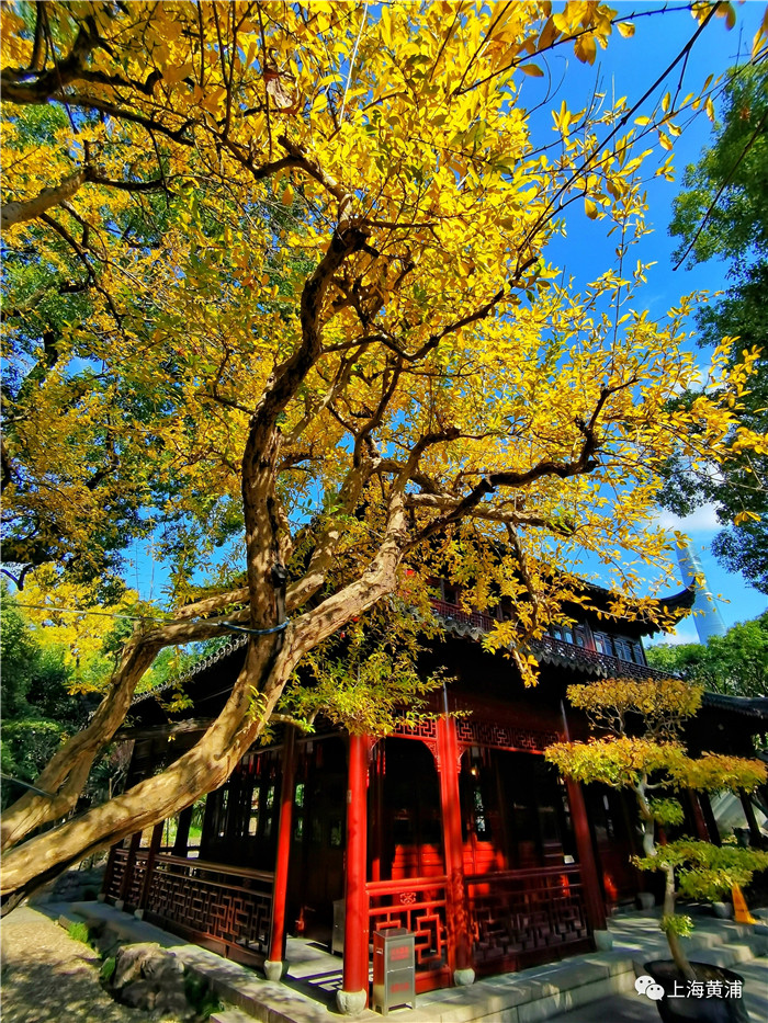 A scenic view of yu_garden