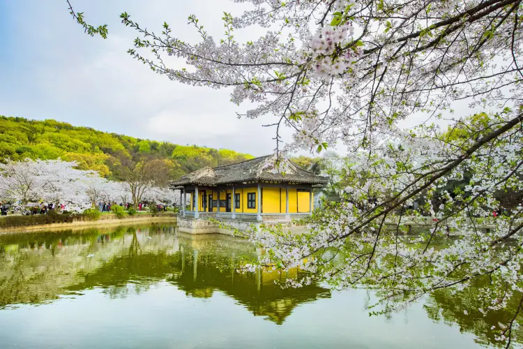 A scenic view of yuantouzhu