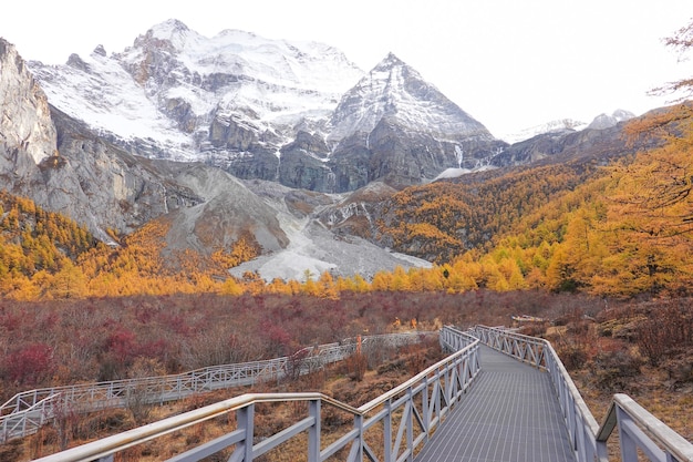 A scenic view of yucheng postal stop