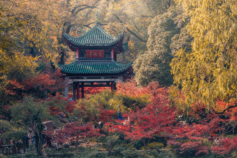 A scenic view of Yuelu Academy