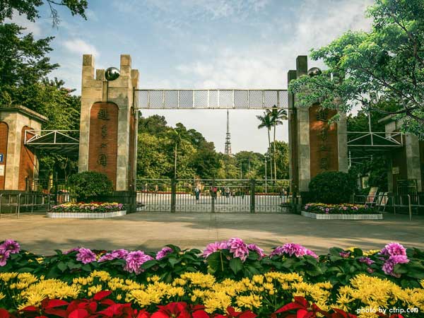 Family Fun in Yuexiu Park: Activities for All Ages