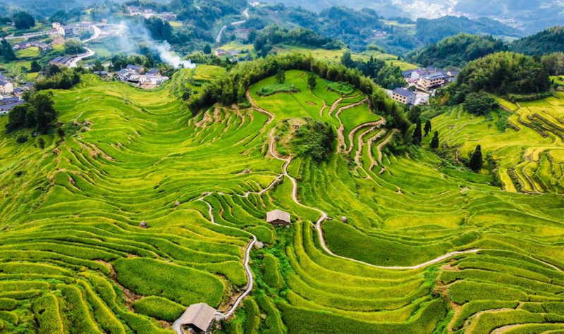 A scenic view of yunhe terraces