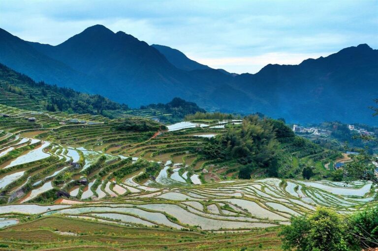 Cultural Heritage and Natural Wonders: Why Yunhe Terraces Should Be on Your Bucket List