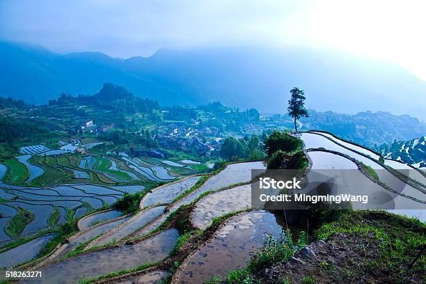 A scenic view of yunhe terraces