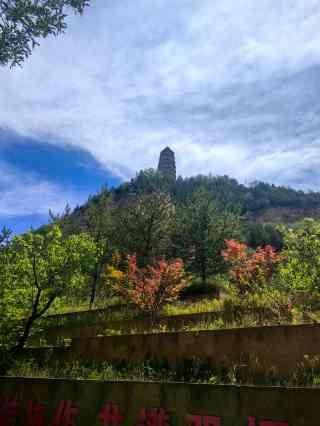 A scenic view of zaoyuan_revolutionary_former_site
