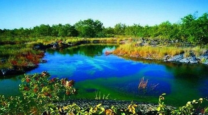 Experience the Serenity of Zhalong Nature Reserve: Nature Trails and Birdwatching