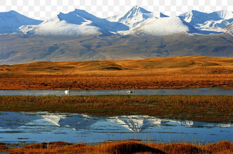 A scenic view of zhalong_nature_reserve