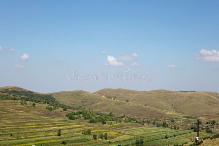 Experience the Cultural Richness of Zhangbei Grassland: Festivals and Traditions