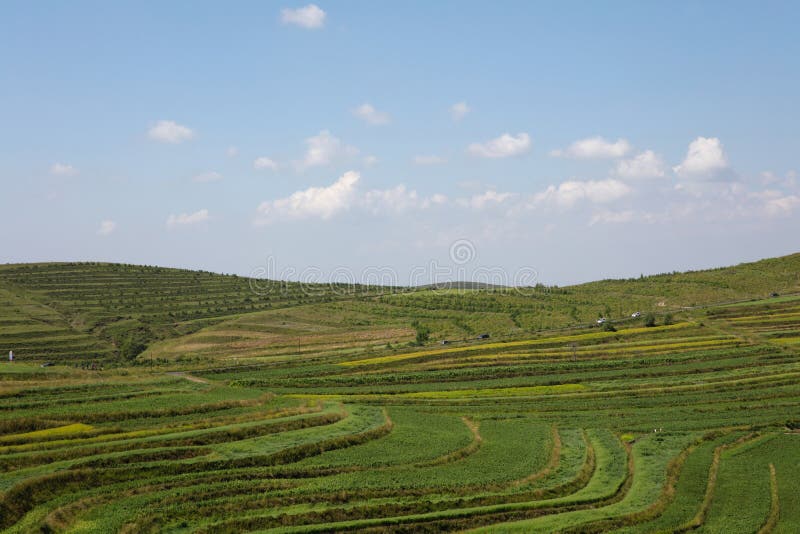 A scenic view of Zhangbei Grassland