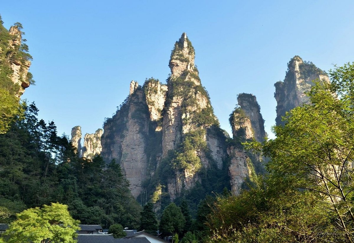A scenic view of Zhangjiajie Wulingyuan