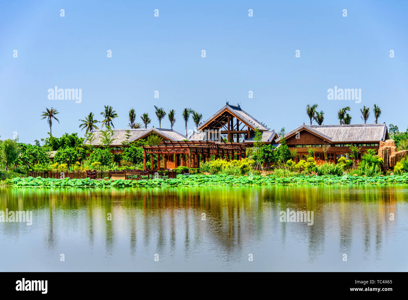 A scenic view of zhangzhou coastal volcanic park