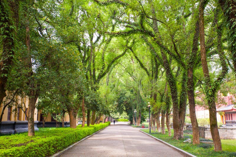 A scenic view of Zhao Wangcheng Ruins