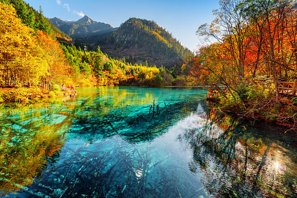 A scenic view of Zhengjue Si