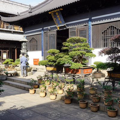 A scenic view of Zhenru Temple