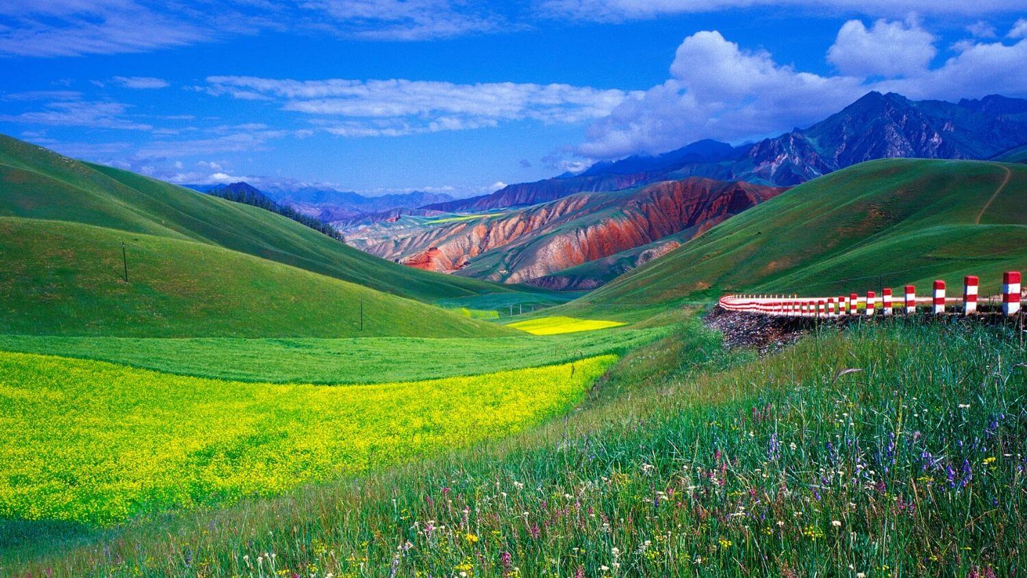 A scenic view of zhongnan grassland