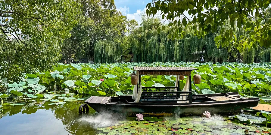 A scenic view of zhu lake park
