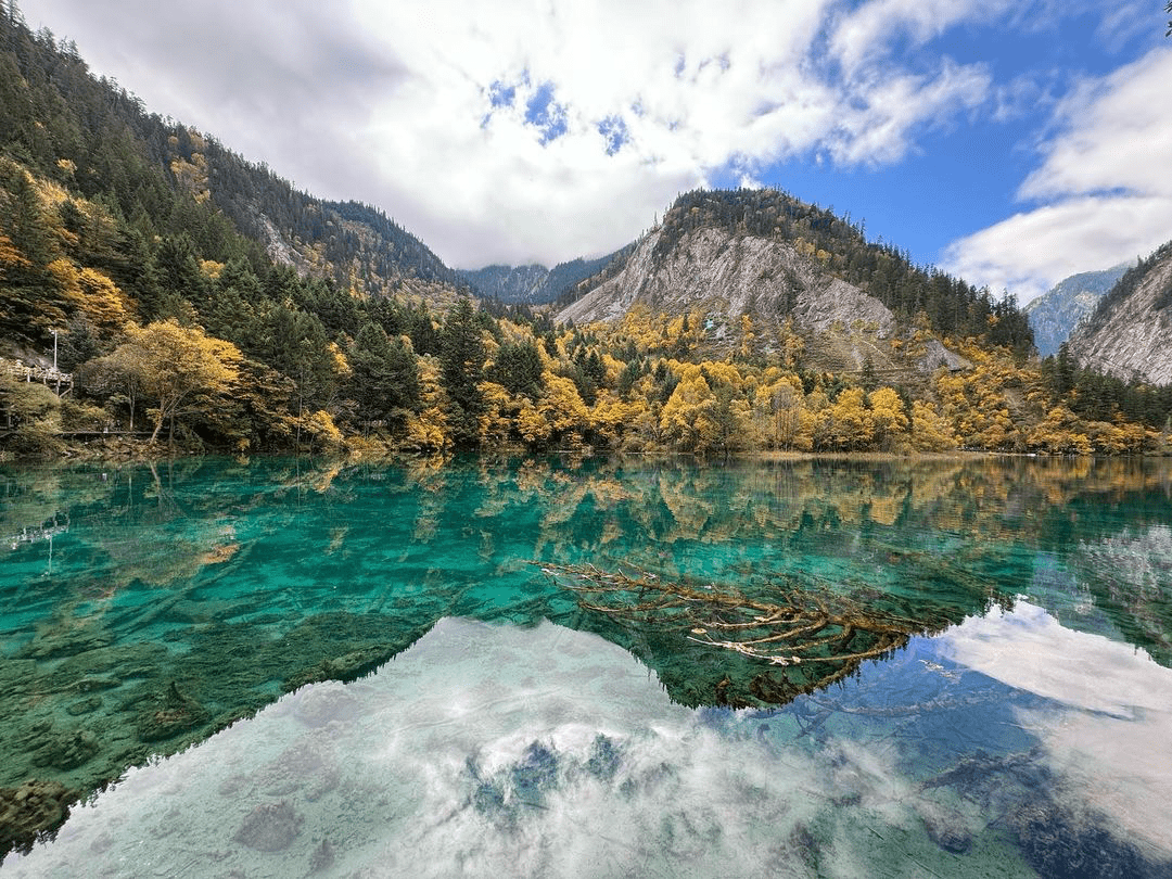 A scenic view of zhu lake park