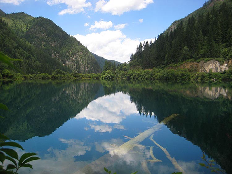 A scenic view of zhu lake park