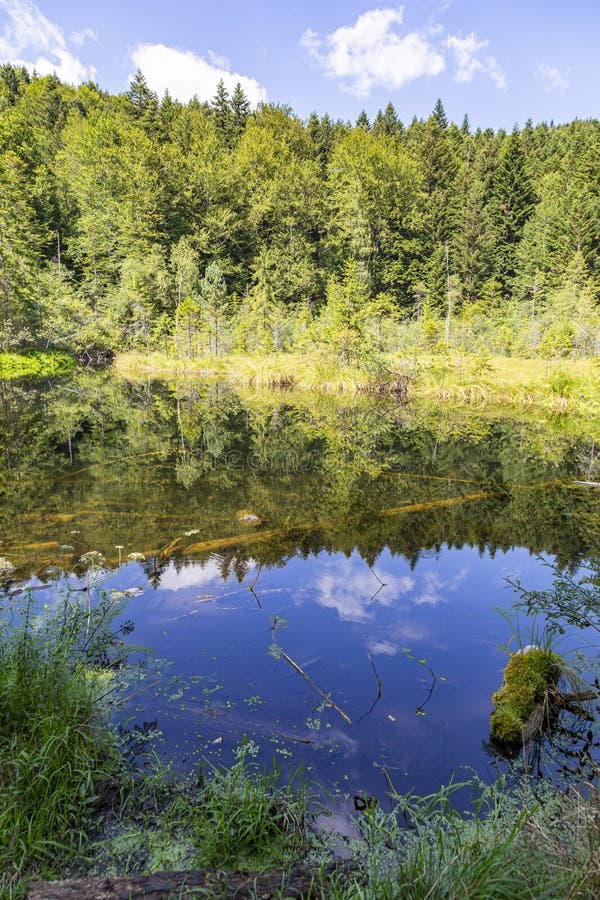 Zhu Lake Park: A Photographer’s Paradise Awaits