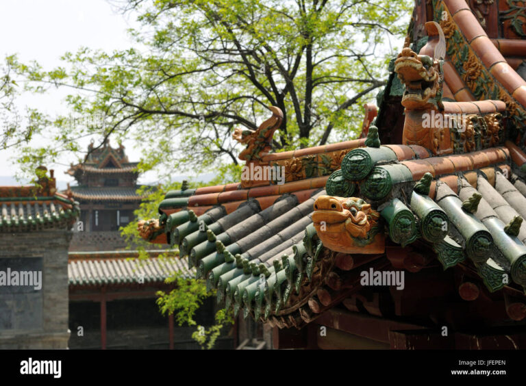 A Traveler’s Guide to Zishou Temple: Insights and Highlights