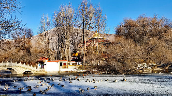 A scenic view of zongjiao lukang park