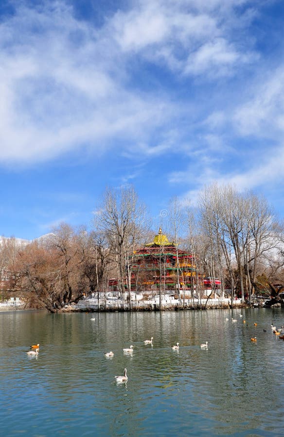 A scenic view of zongjiao lukang park
