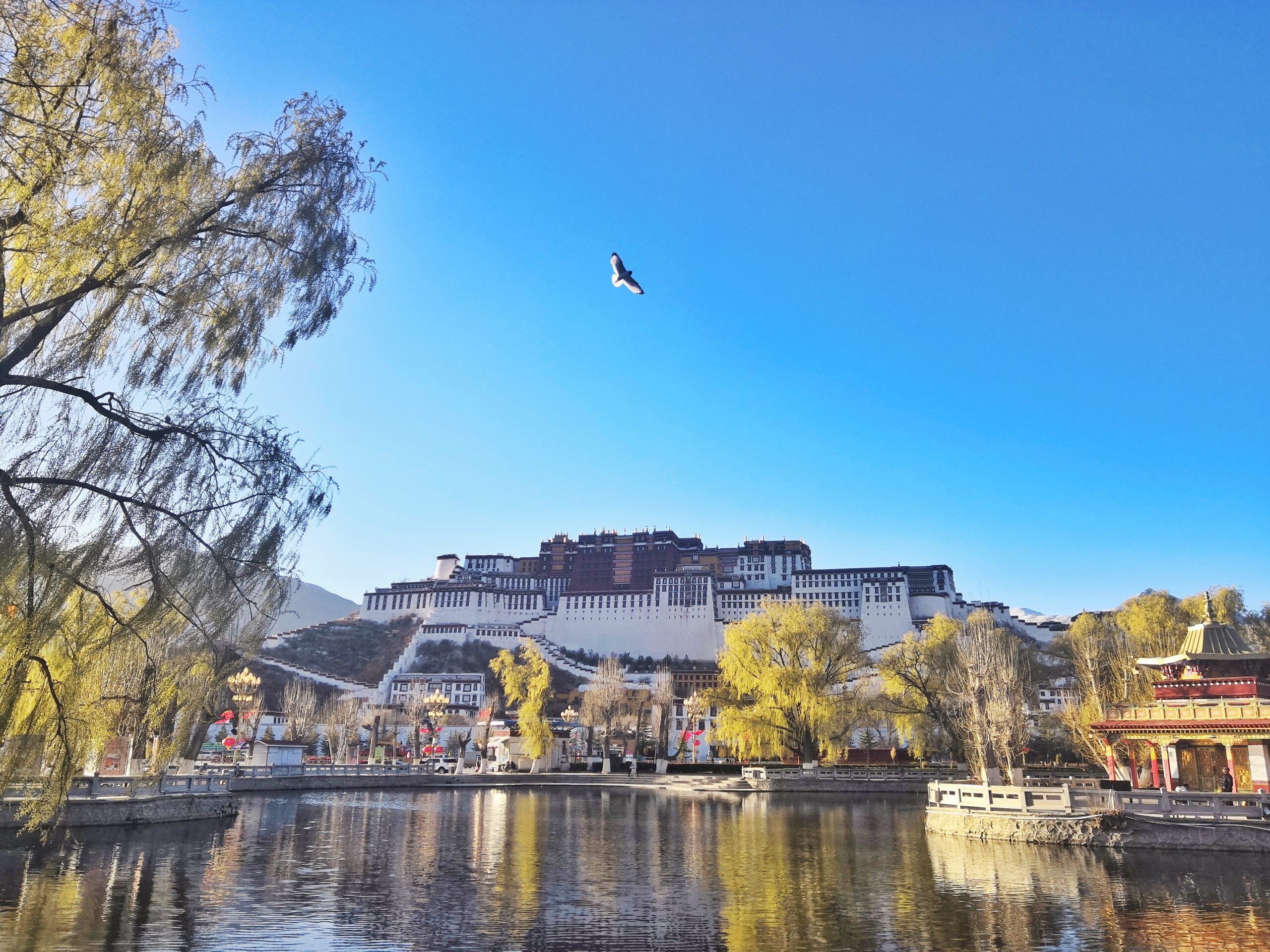 A scenic view of zongjiao lukang park